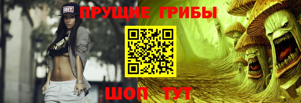 сколько стоит  Вход с VPN  Галлюциногенные грибы GOLDEN TEACHER  Тимашёвск  Галлюциногенные грибы прущие грибы 